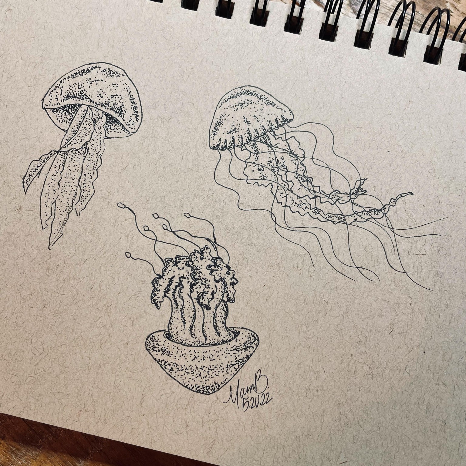 jellyfish - image 1 - student project