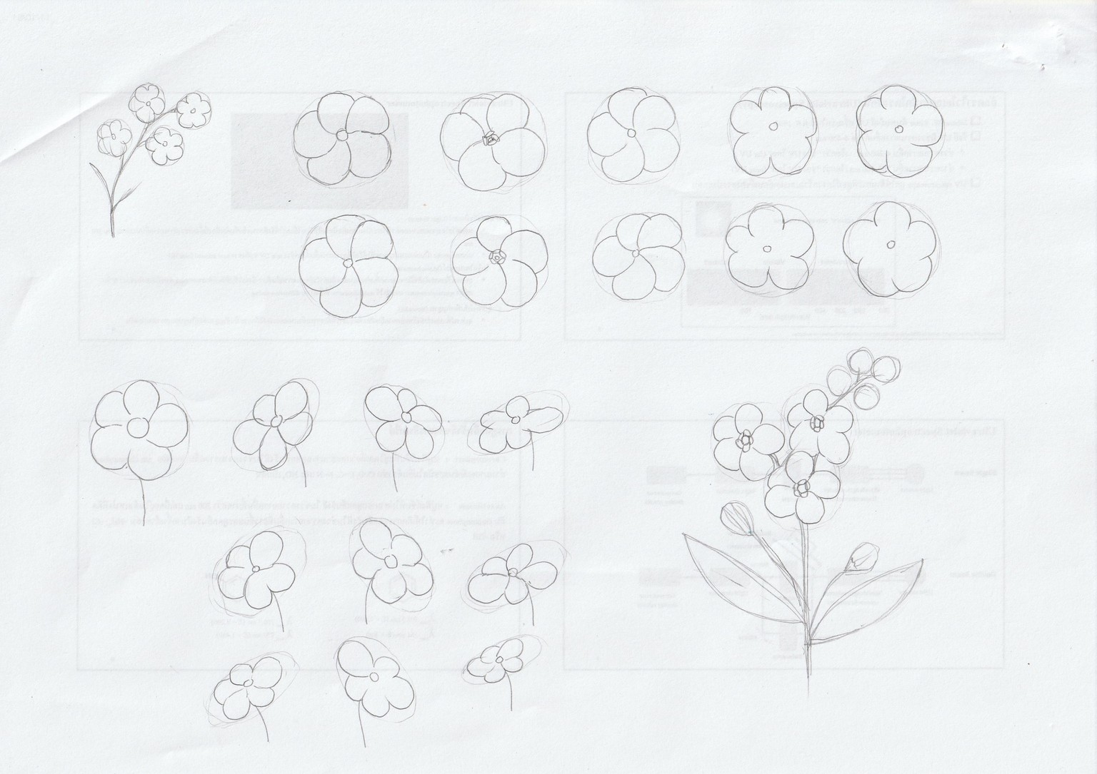 My Flowers ❀ - image 1 - student project