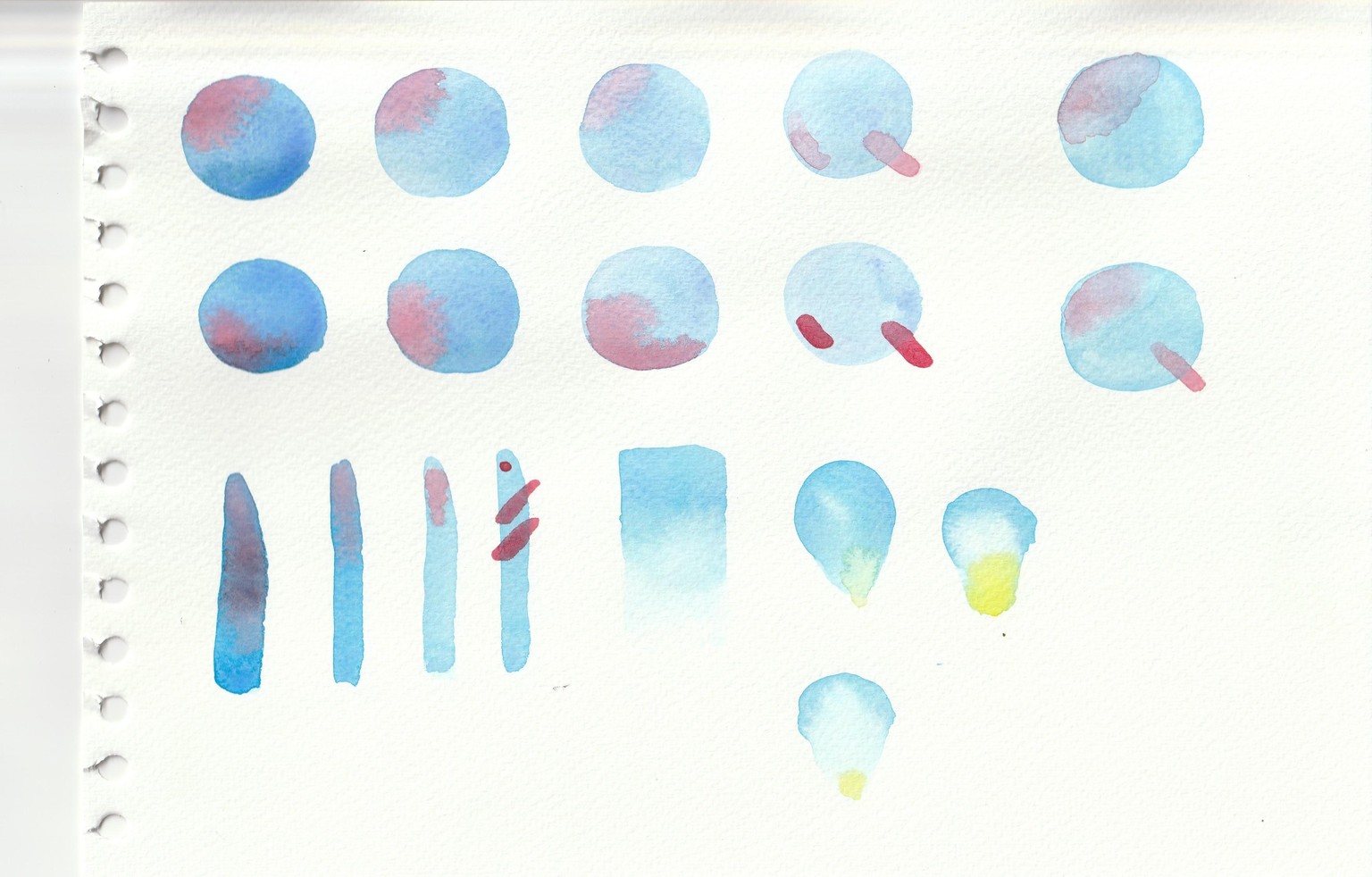 My Flowers ❀ - image 3 - student project