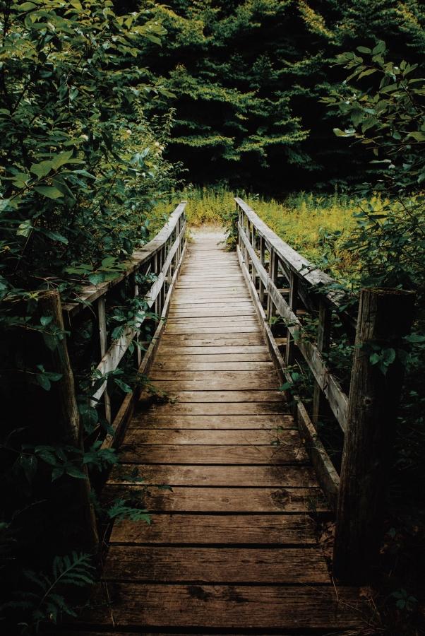 Adventures Back Home - image 3 - student project