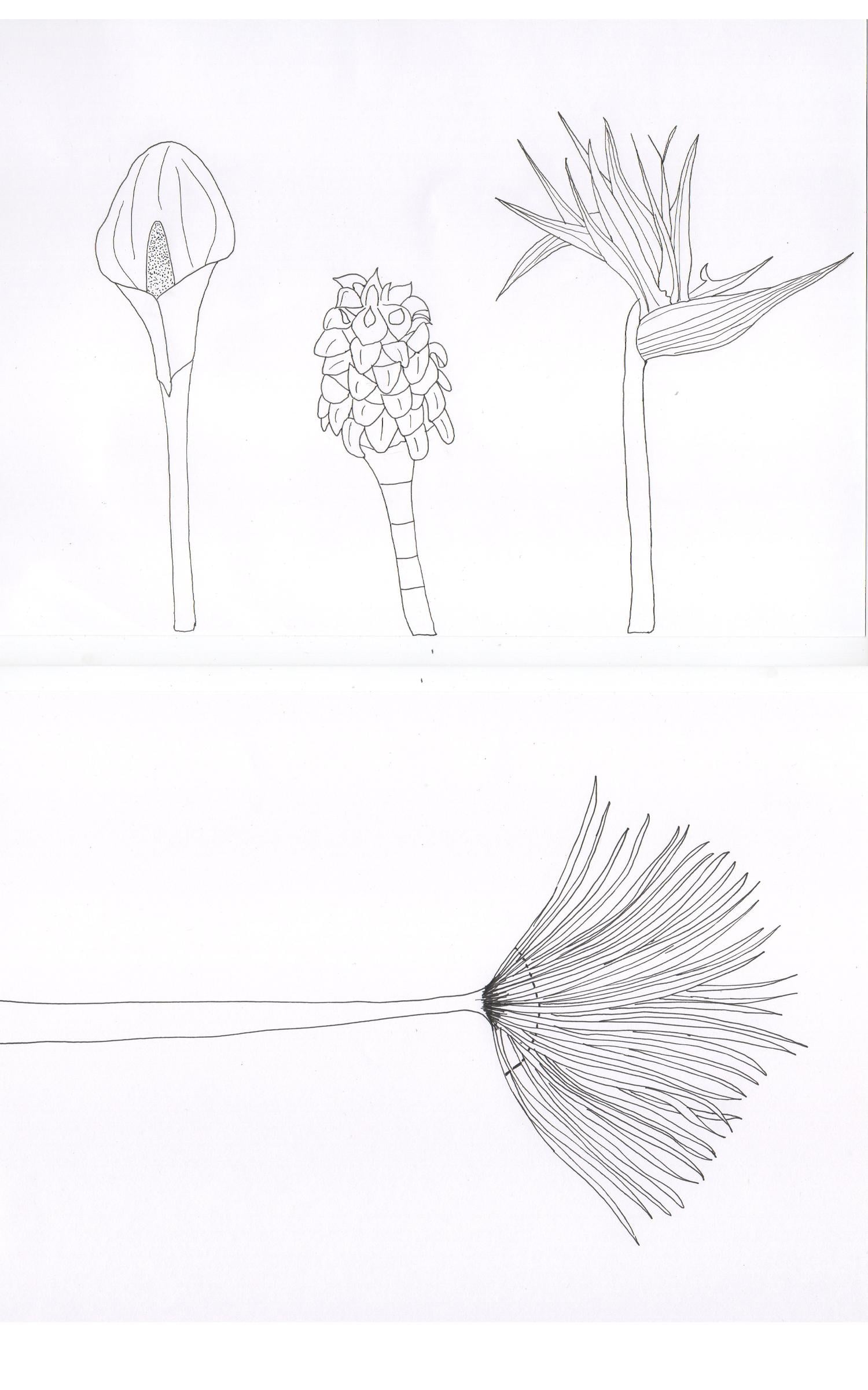 Workshop project: Desperately looking for my style! - image 11 - student project