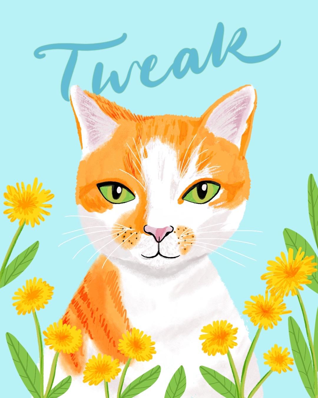 In Memory of Tweak - image 1 - student project