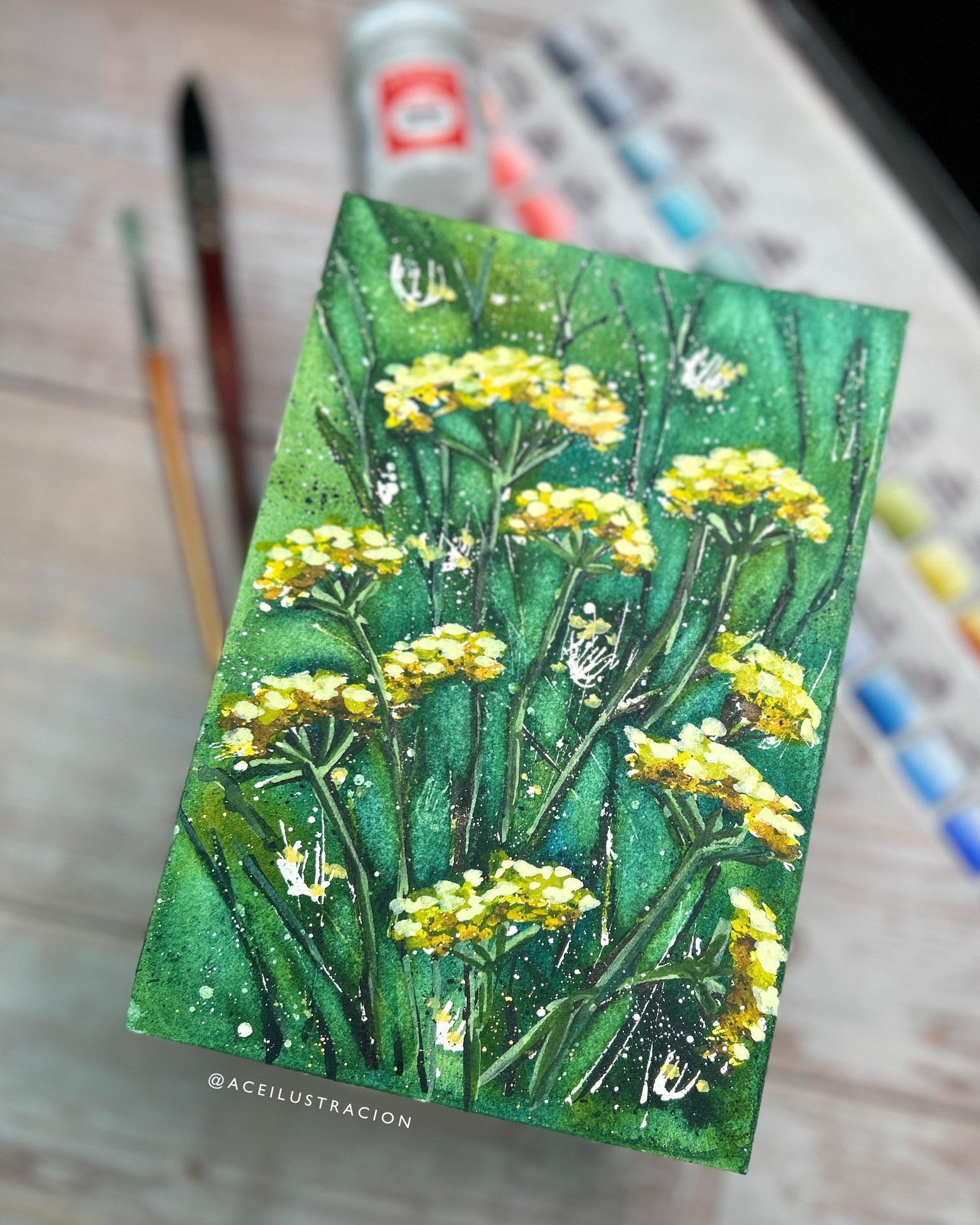Wild Fennel - image 2 - student project