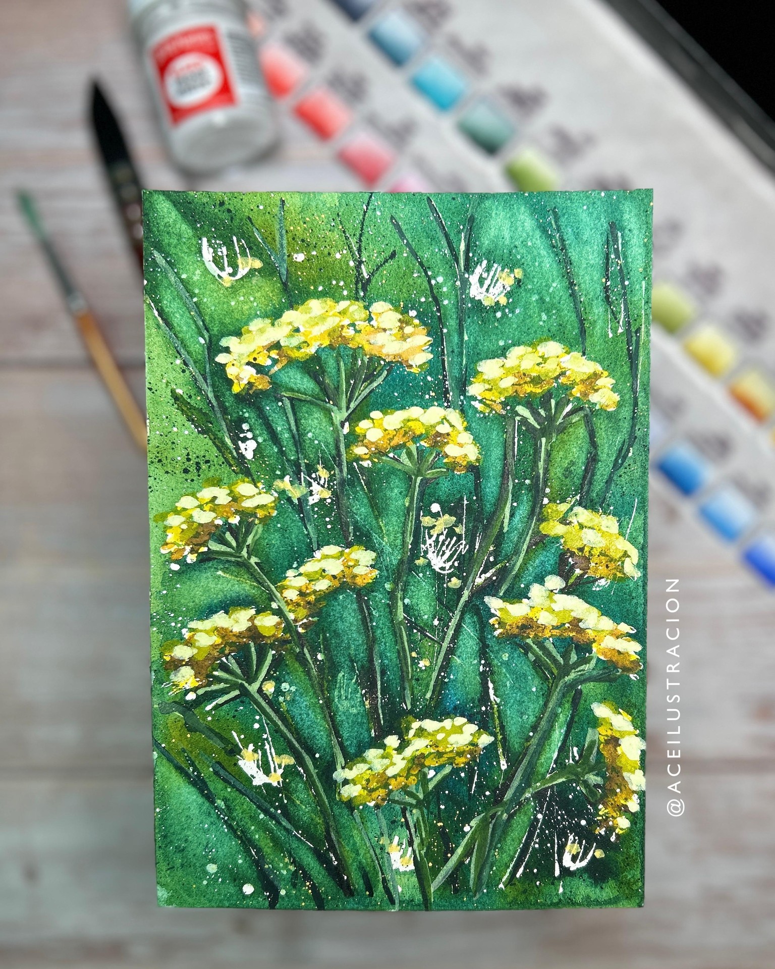 Wild Fennel - image 1 - student project