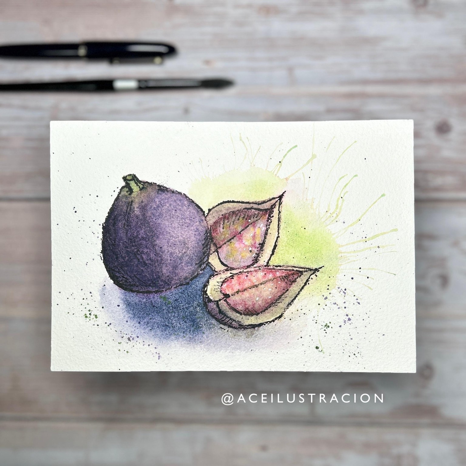 FIGS - image 1 - student project