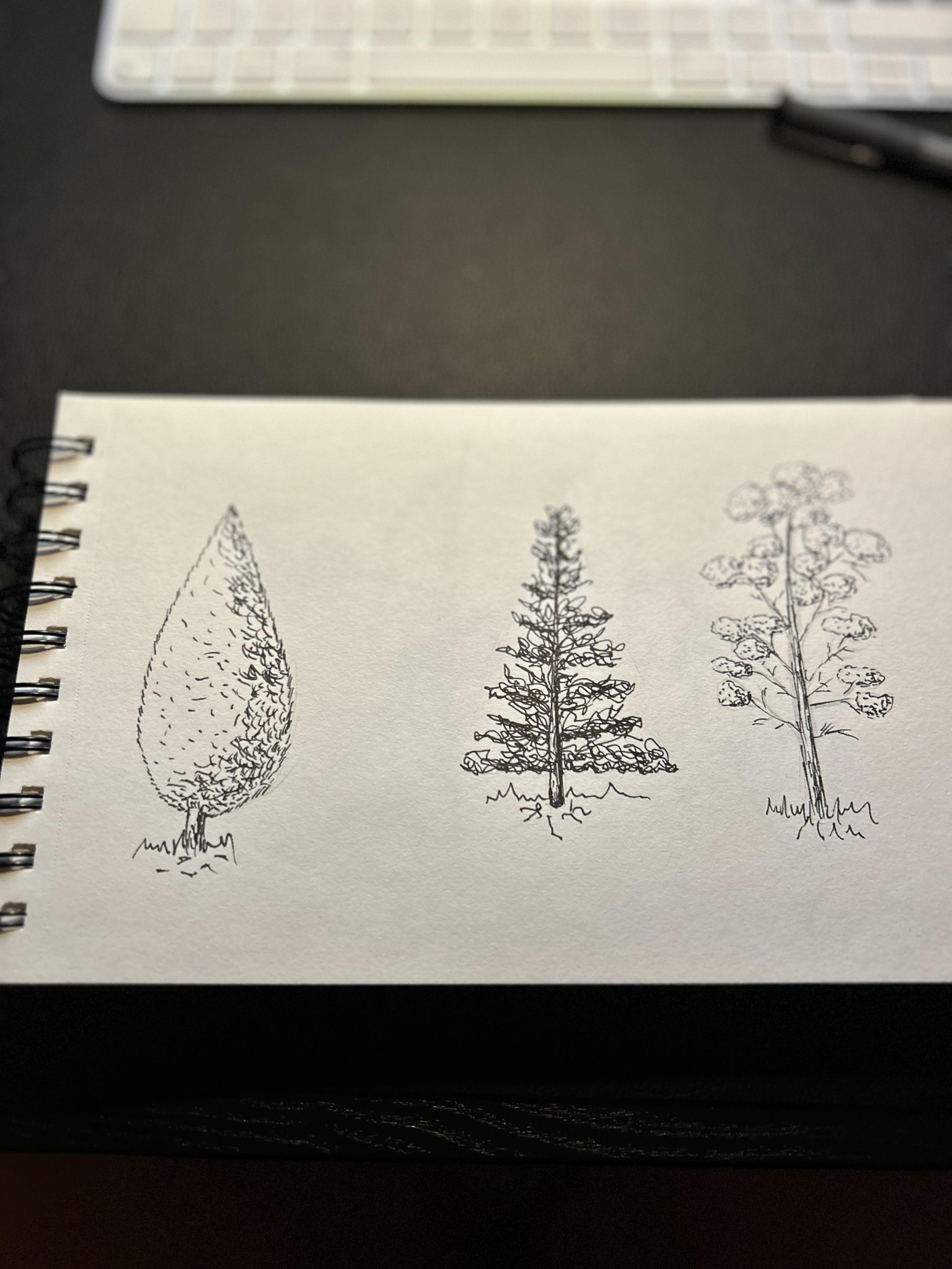landscape - image 1 - student project