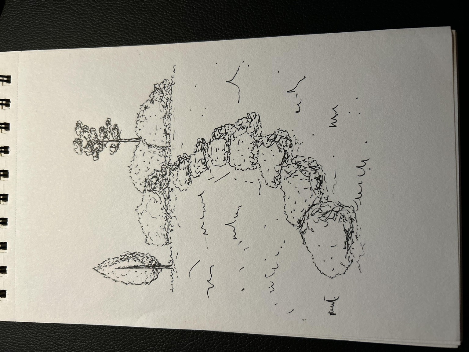 landscape - image 3 - student project