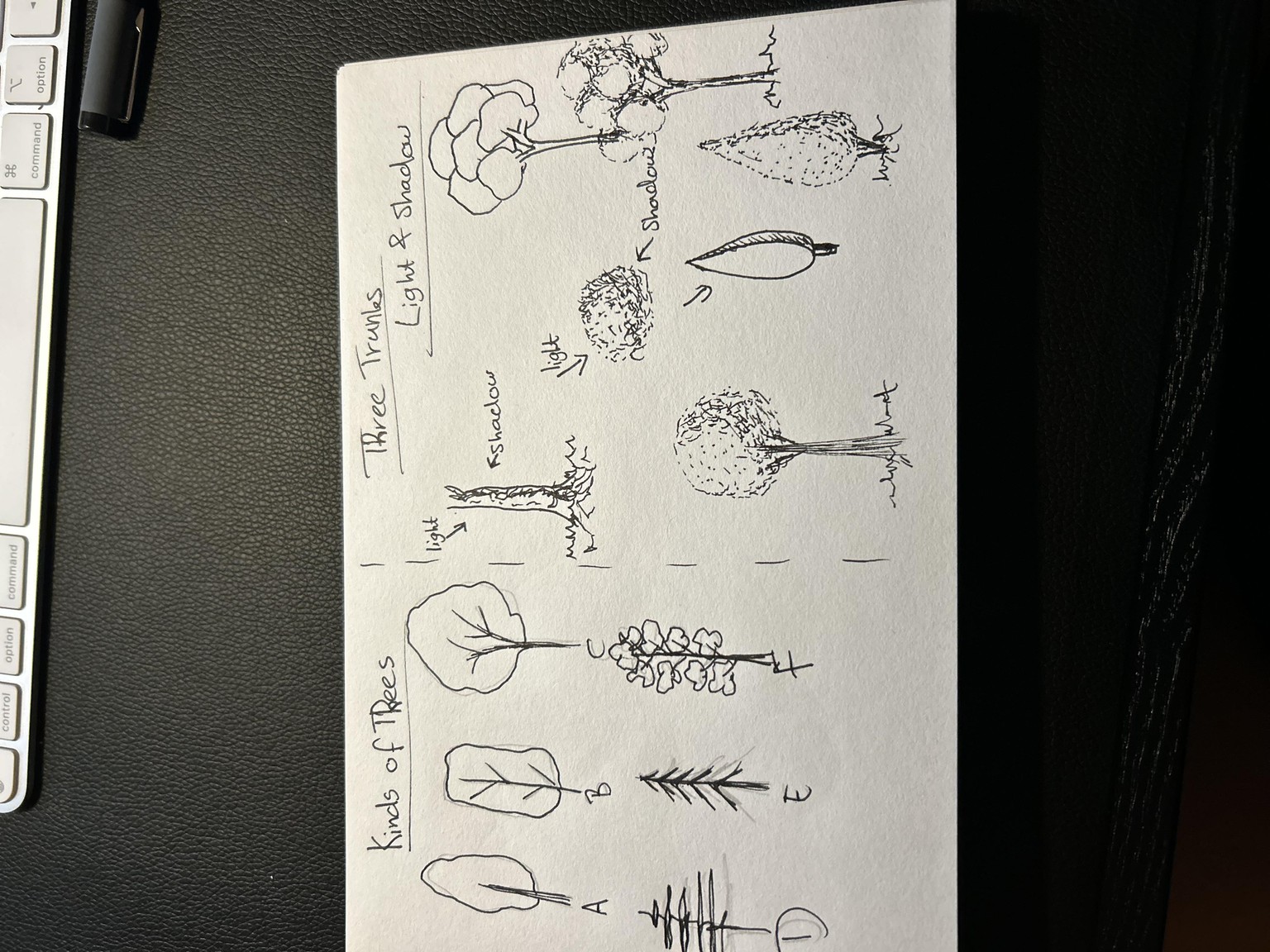 landscape - image 2 - student project