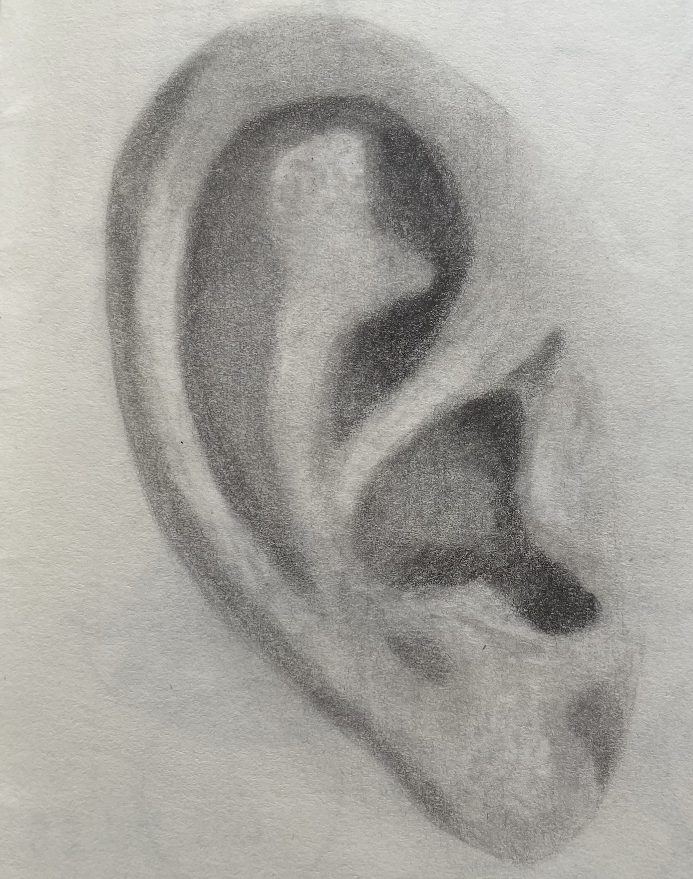 my first attempts - image 2 - student project