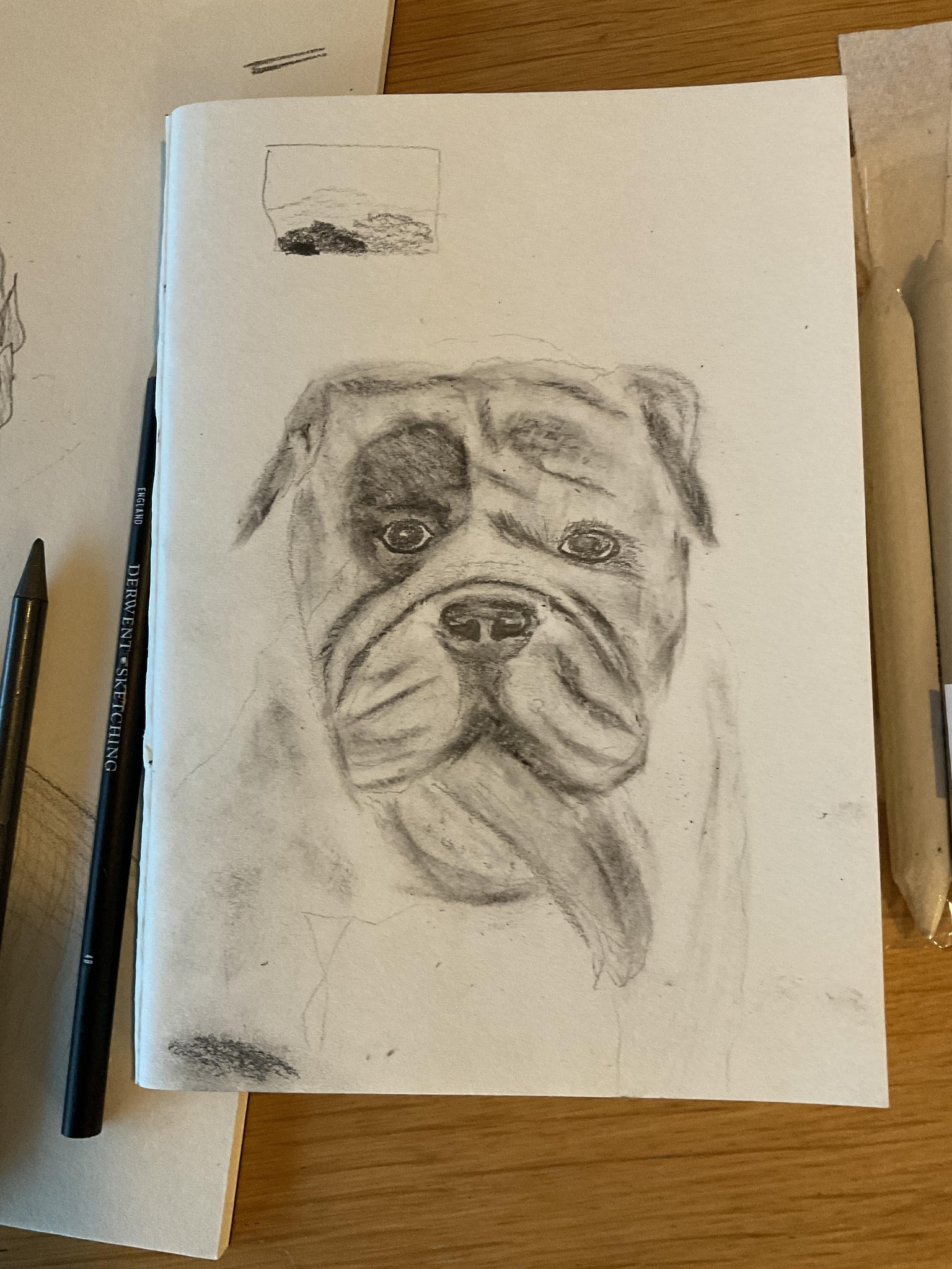 Bulldog - image 1 - student project