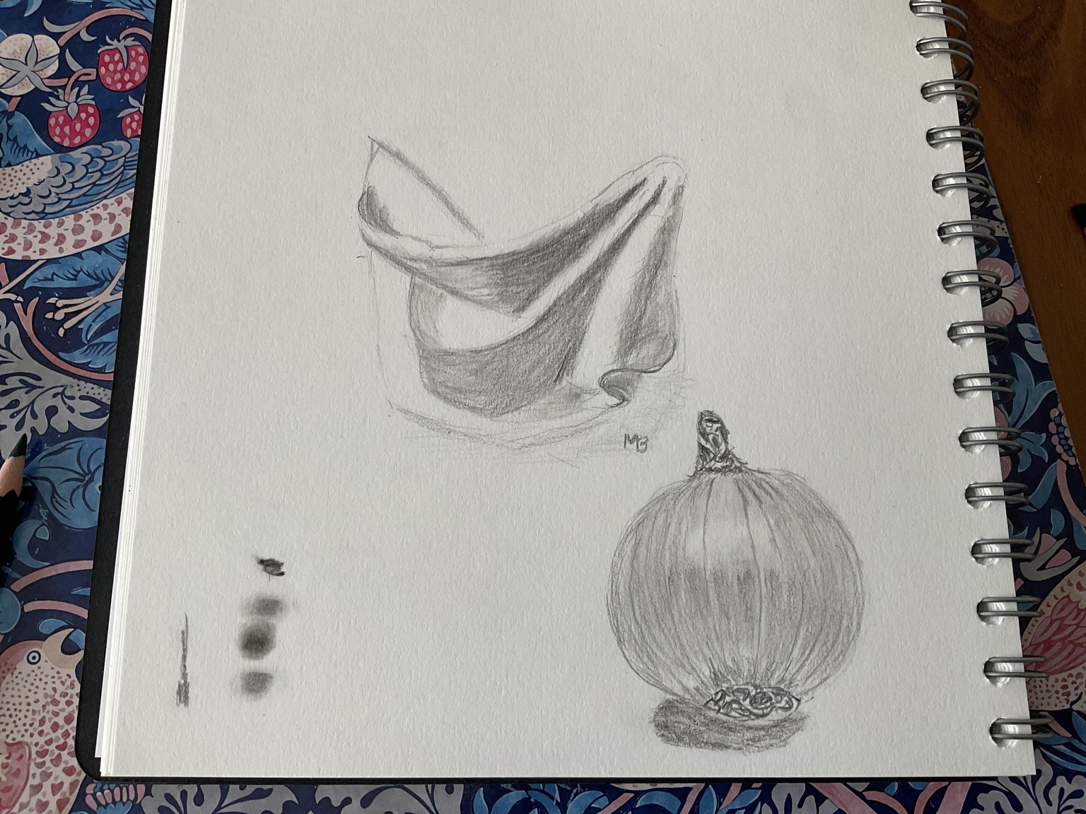 Drape and garlic - image 1 - student project