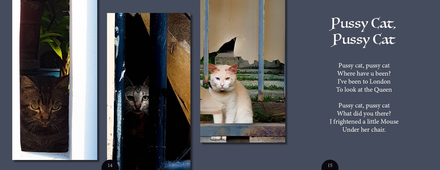 Cats in our neighbourhood - image 7 - student project