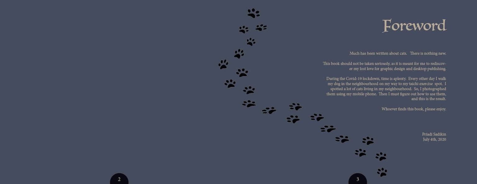 Cats in our neighbourhood - image 1 - student project