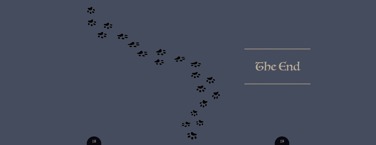 Cats in our neighbourhood - image 9 - student project