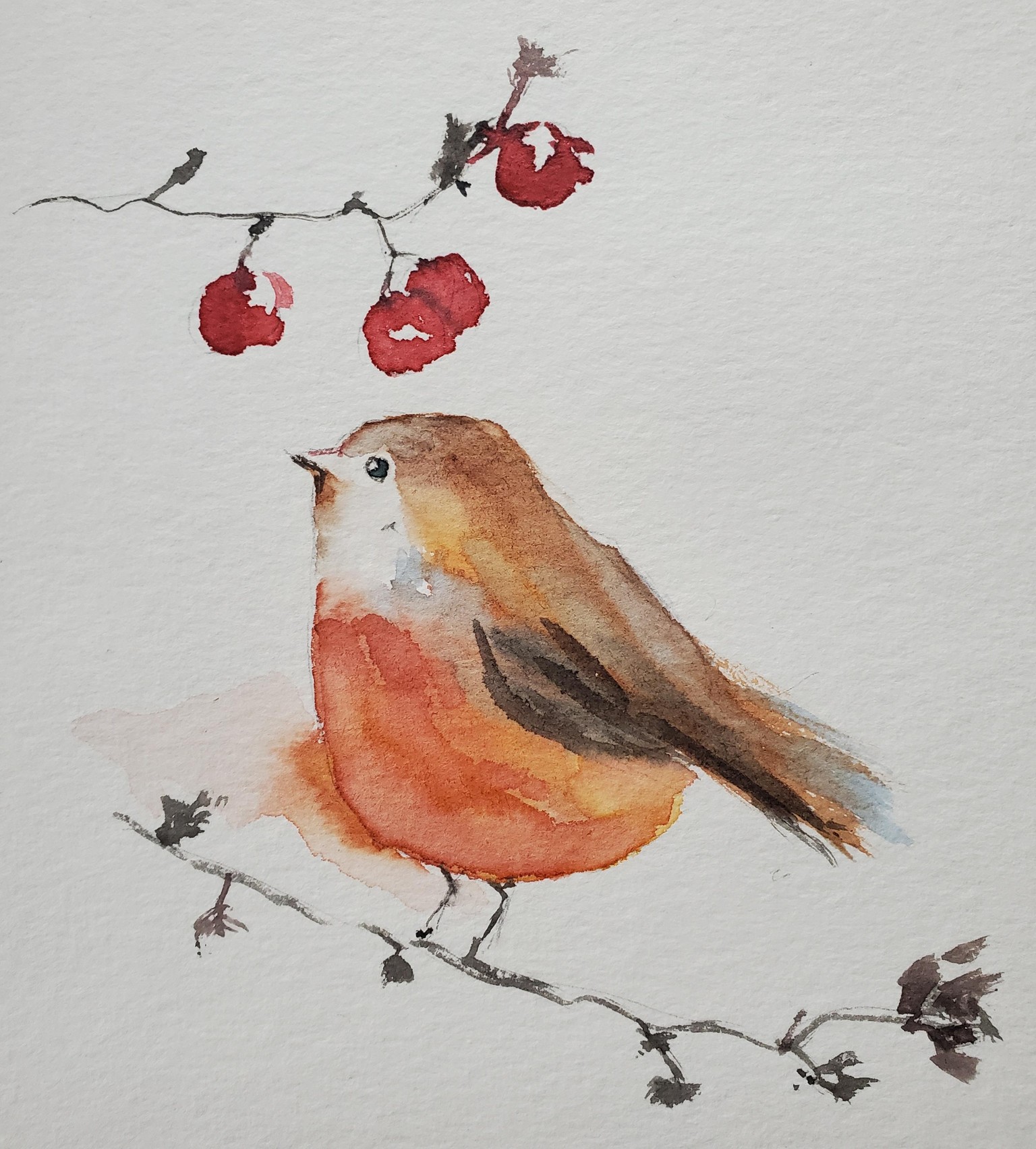 Petits oiseaux - image 2 - student project