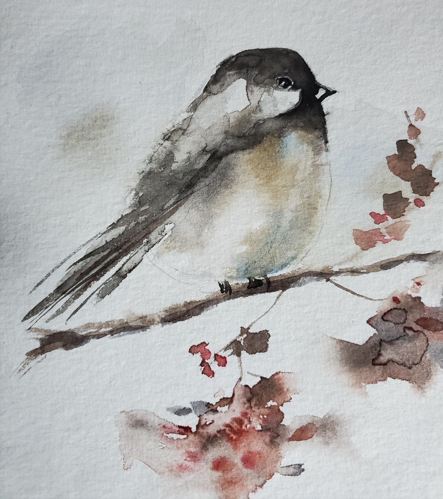 Petits oiseaux - image 1 - student project