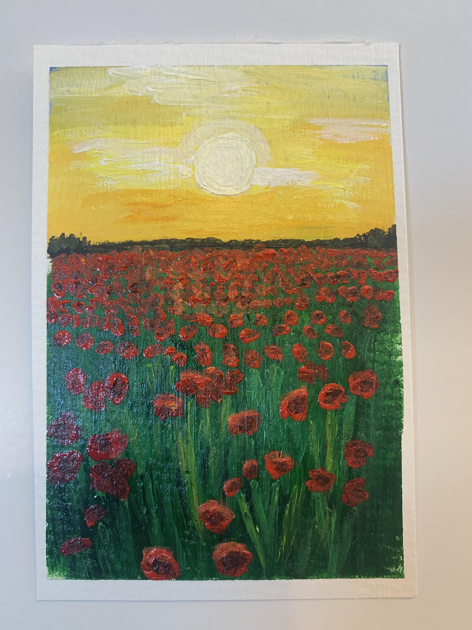 Sunset Poppies - image 1 - student project