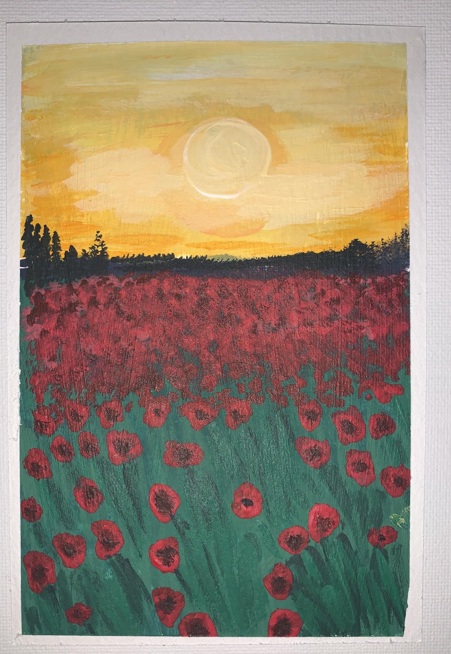 Sunset Poppies - image 3 - student project