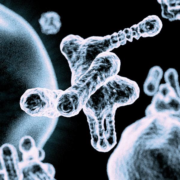 Microcosm - image 1 - student project