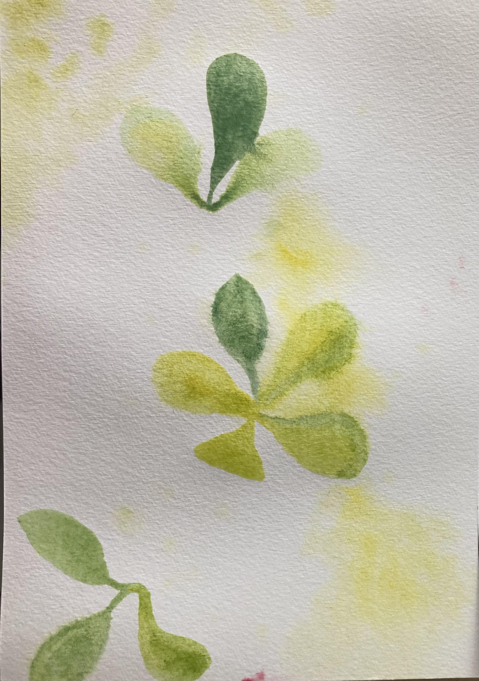 Practice - image 4 - student project