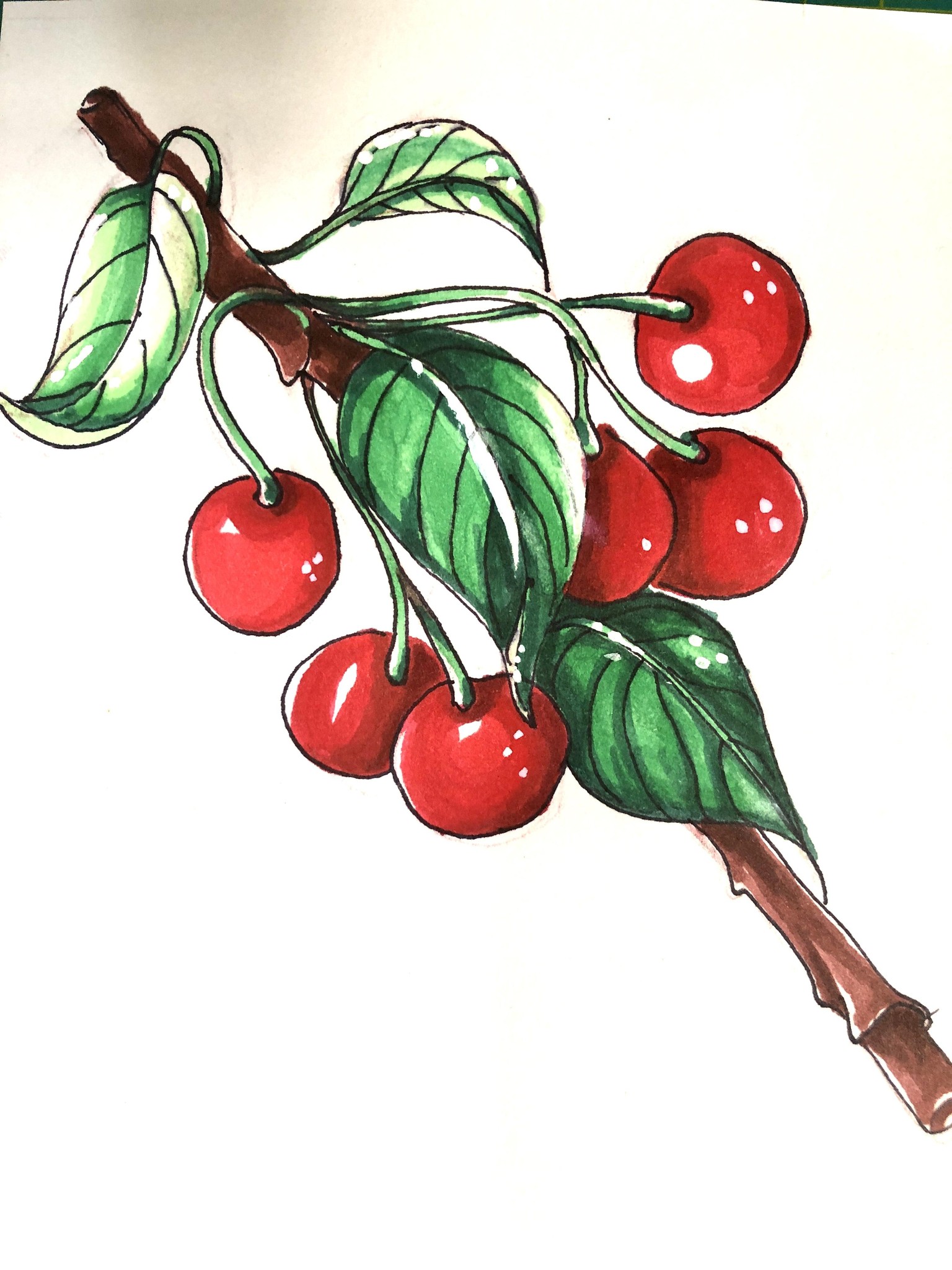 Sketch Expressive Fruits & Berries - image 4 - student project