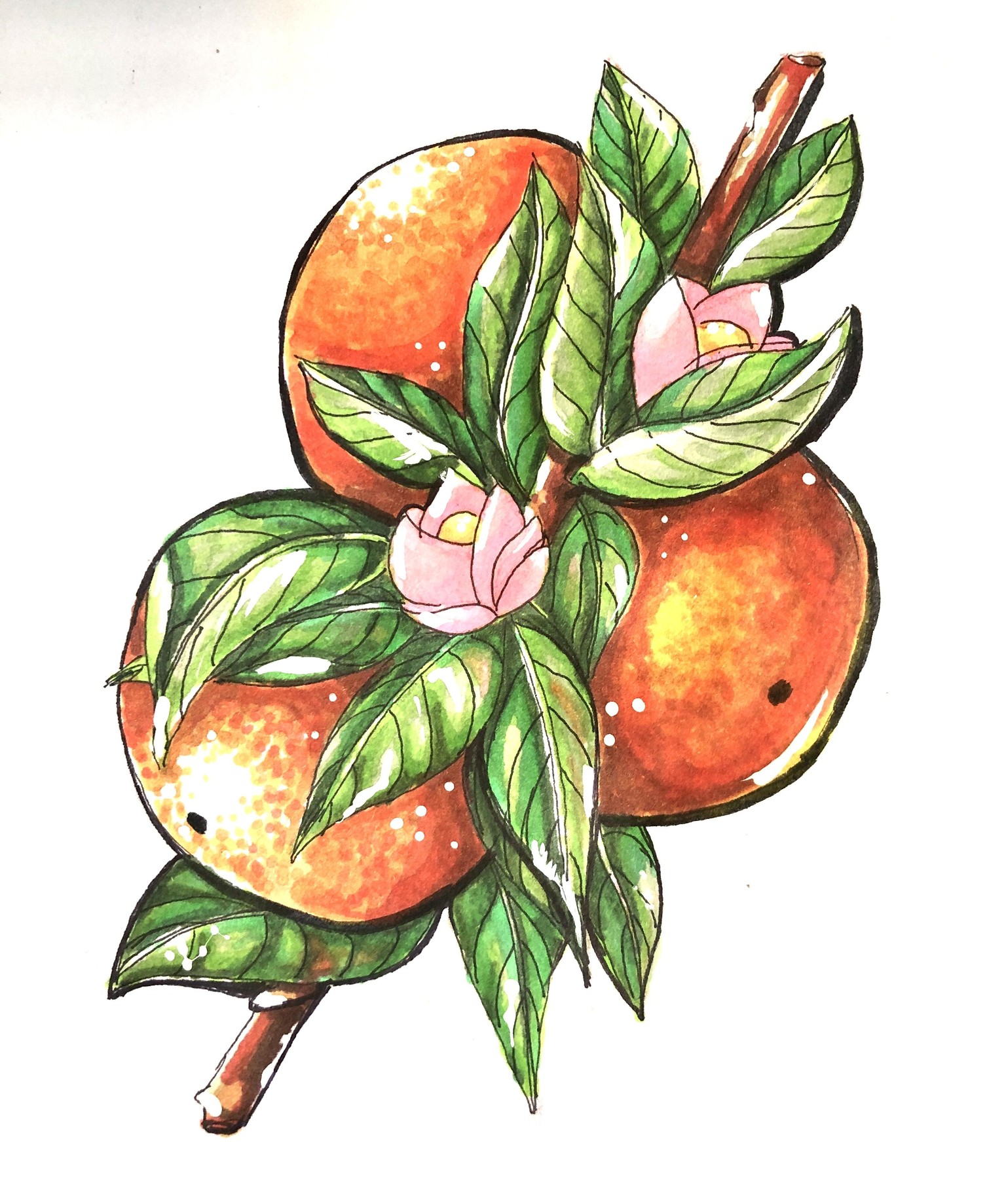 Sketch Expressive Fruits & Berries - image 2 - student project