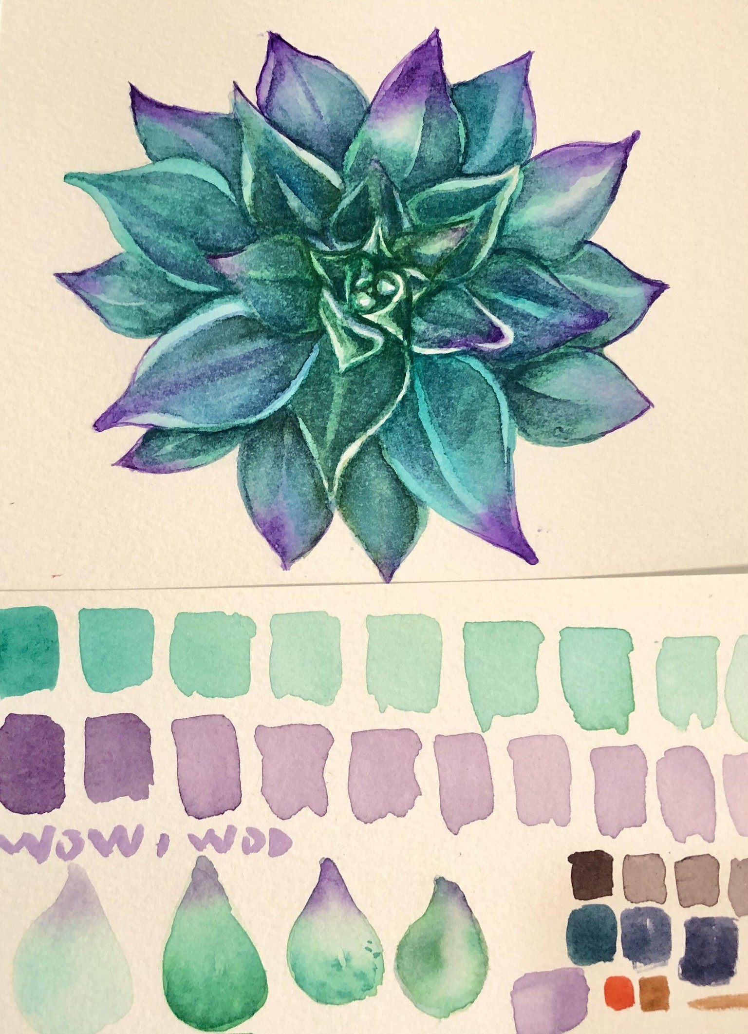 A Watercolor Succulent - image 1 - student project