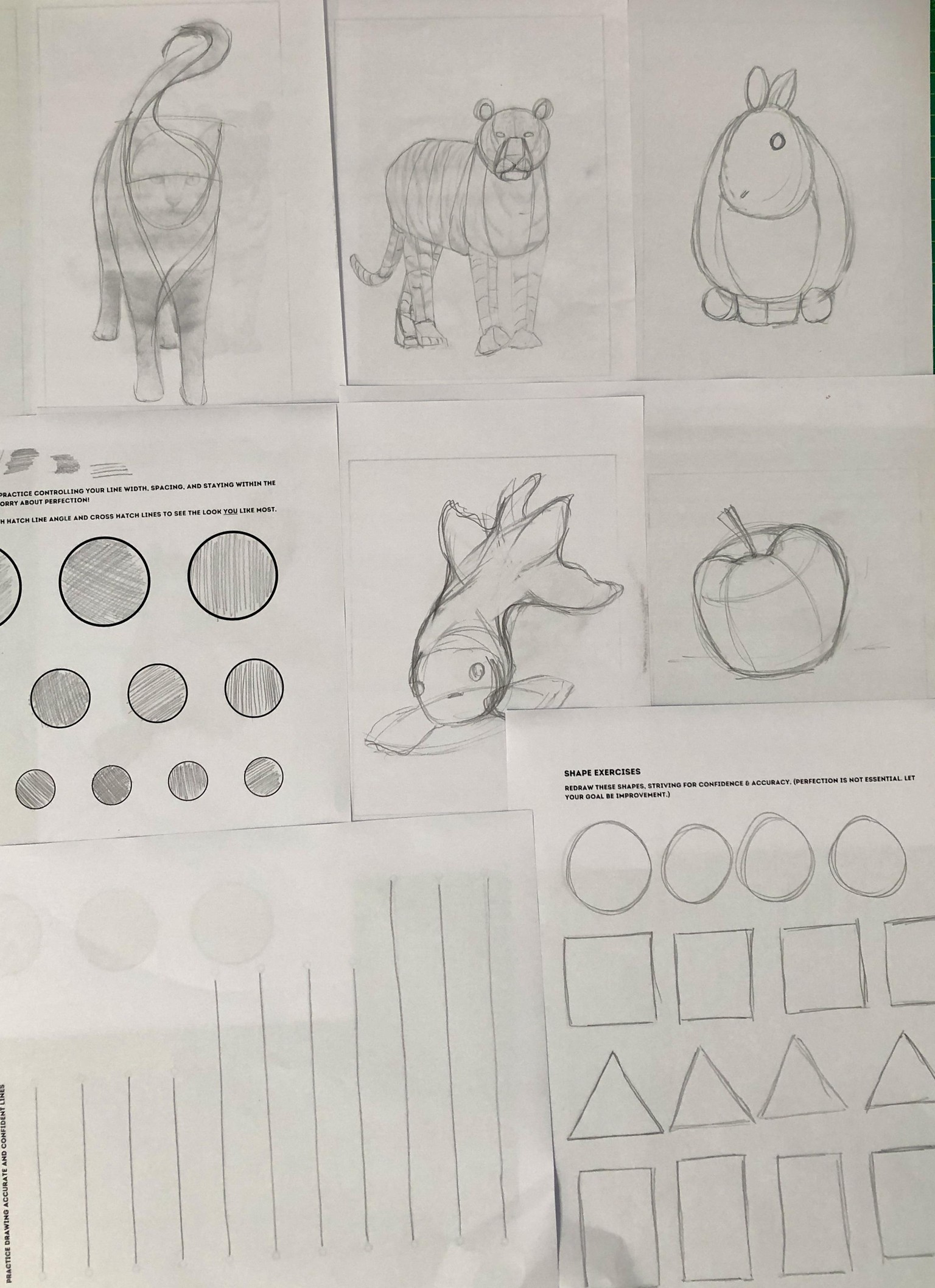 More confident at Drawing!. All exercises - image 1 - student project
