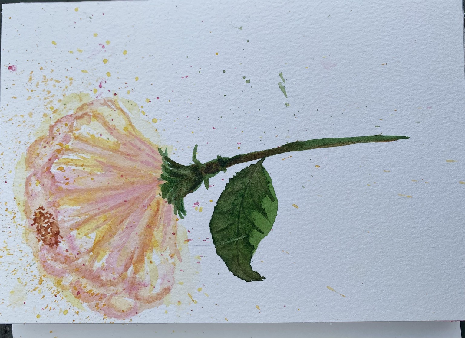 Tropical Hibiscus - image 1 - student project