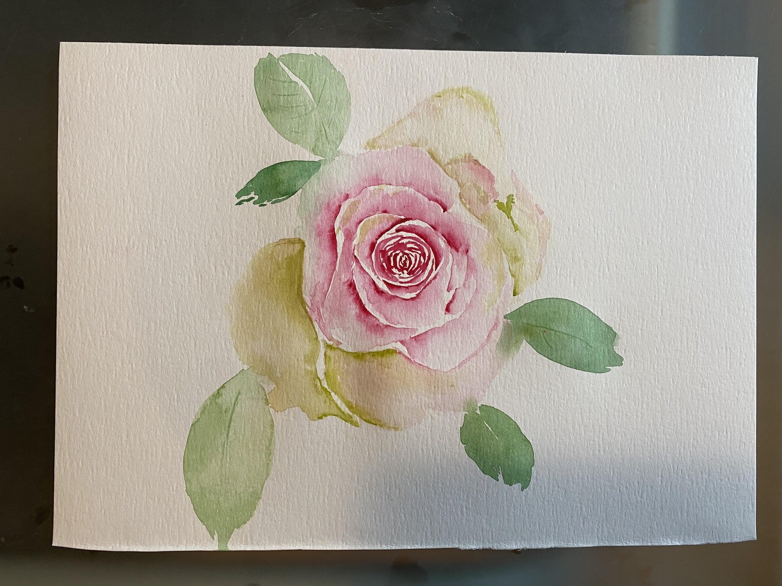 Rose Shape Study Progression - Nina Watercolour Lover - image 3 - student project