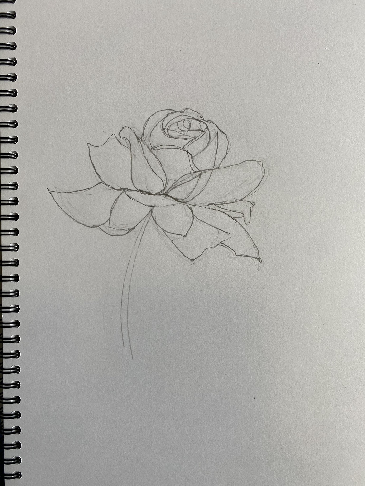 Rose Shape Study Progression - Nina Watercolour Lover - image 5 - student project