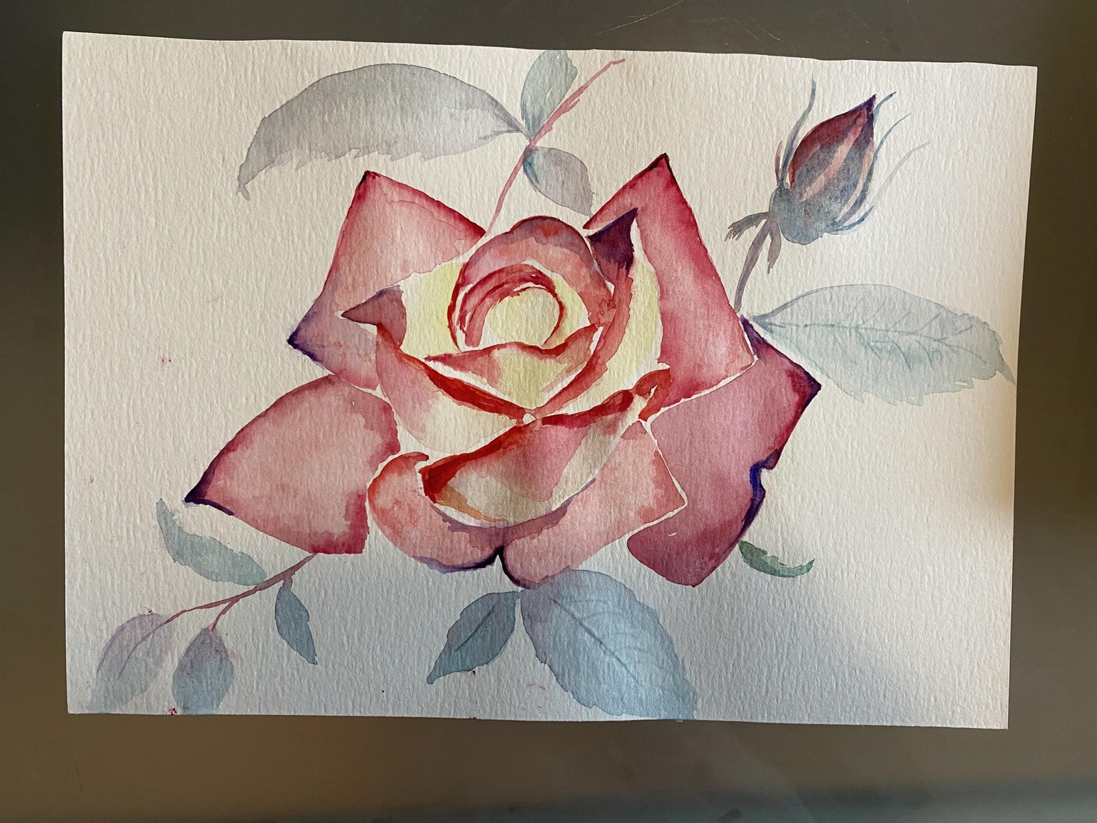 Rose Shape Study Progression - Nina Watercolour Lover - image 10 - student project