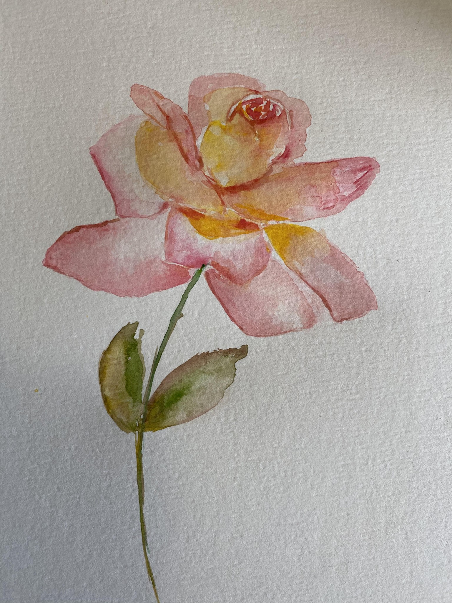 Rose Shape Study Progression - Nina Watercolour Lover - image 6 - student project