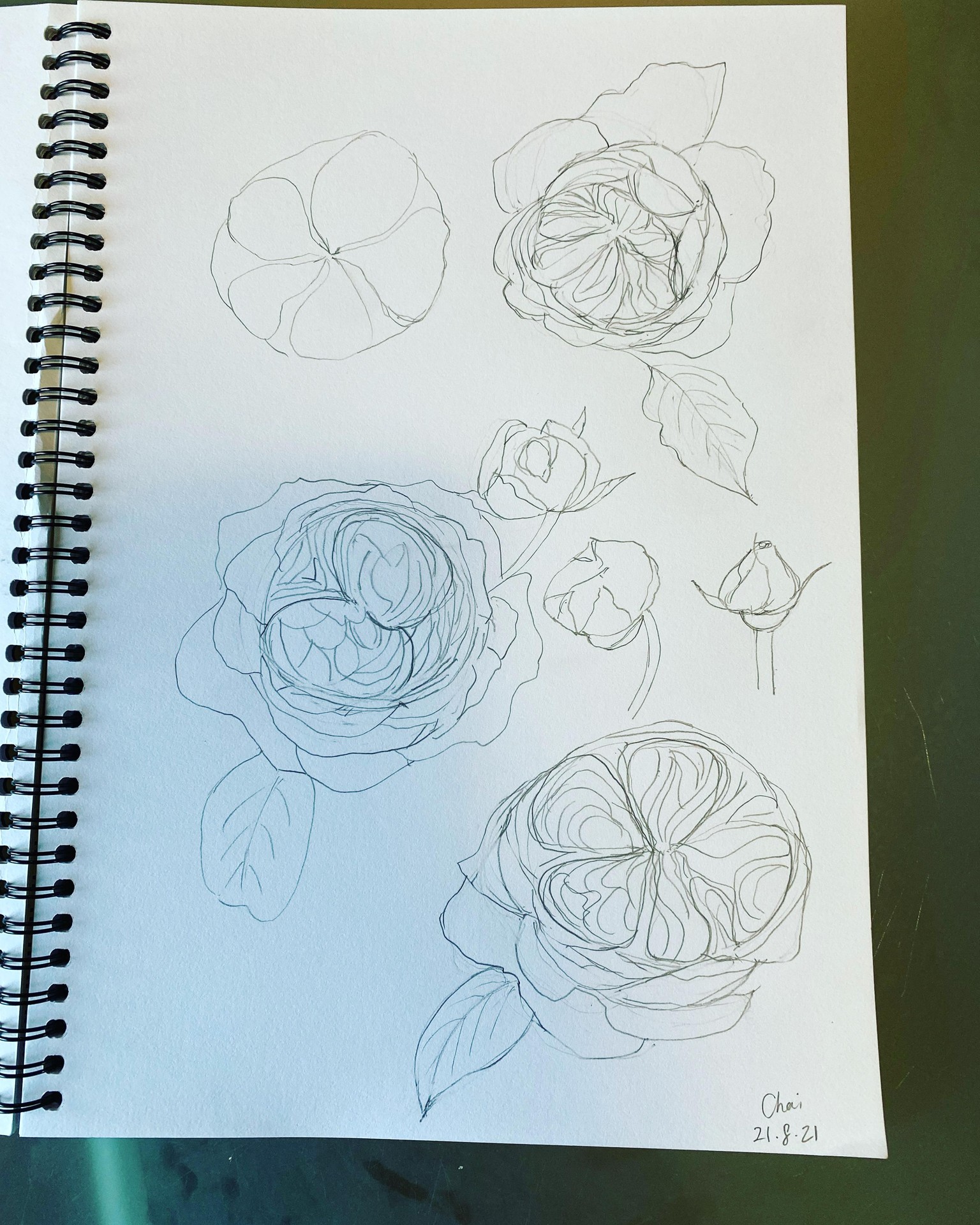 English Rose Study - image 1 - student project