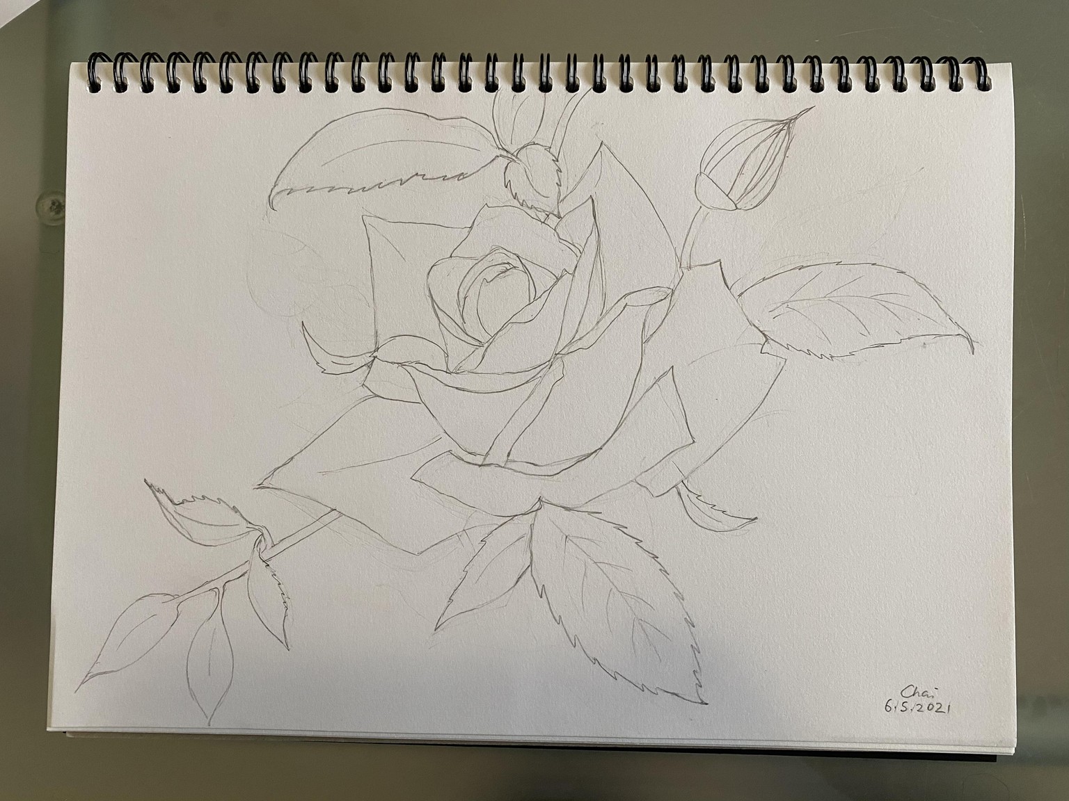 Rose Shape Study Progression - Nina Watercolour Lover - image 9 - student project