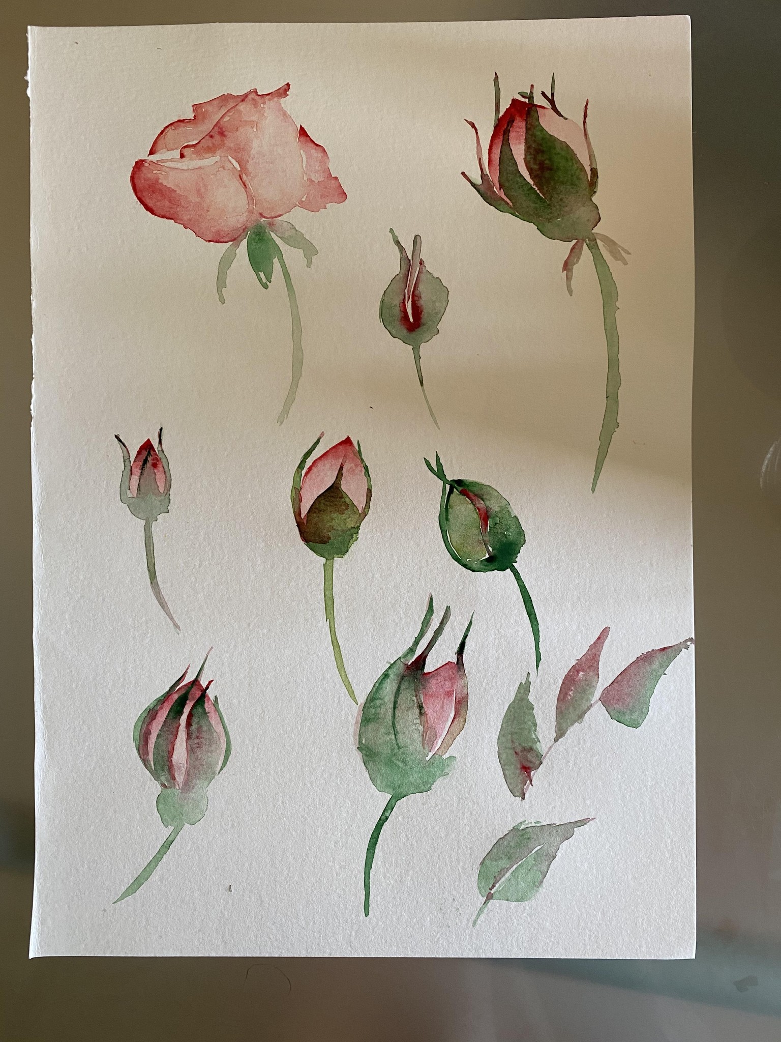 Rose Shape Study Progression - Nina Watercolour Lover - image 8 - student project