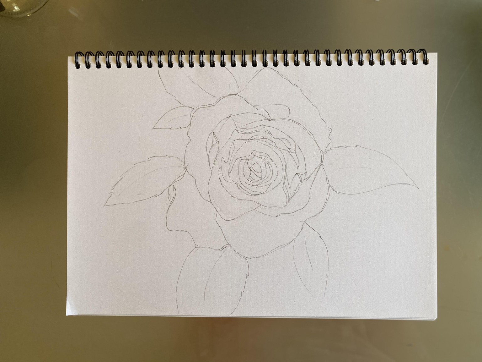 Rose Shape Study Progression - Nina Watercolour Lover - image 4 - student project