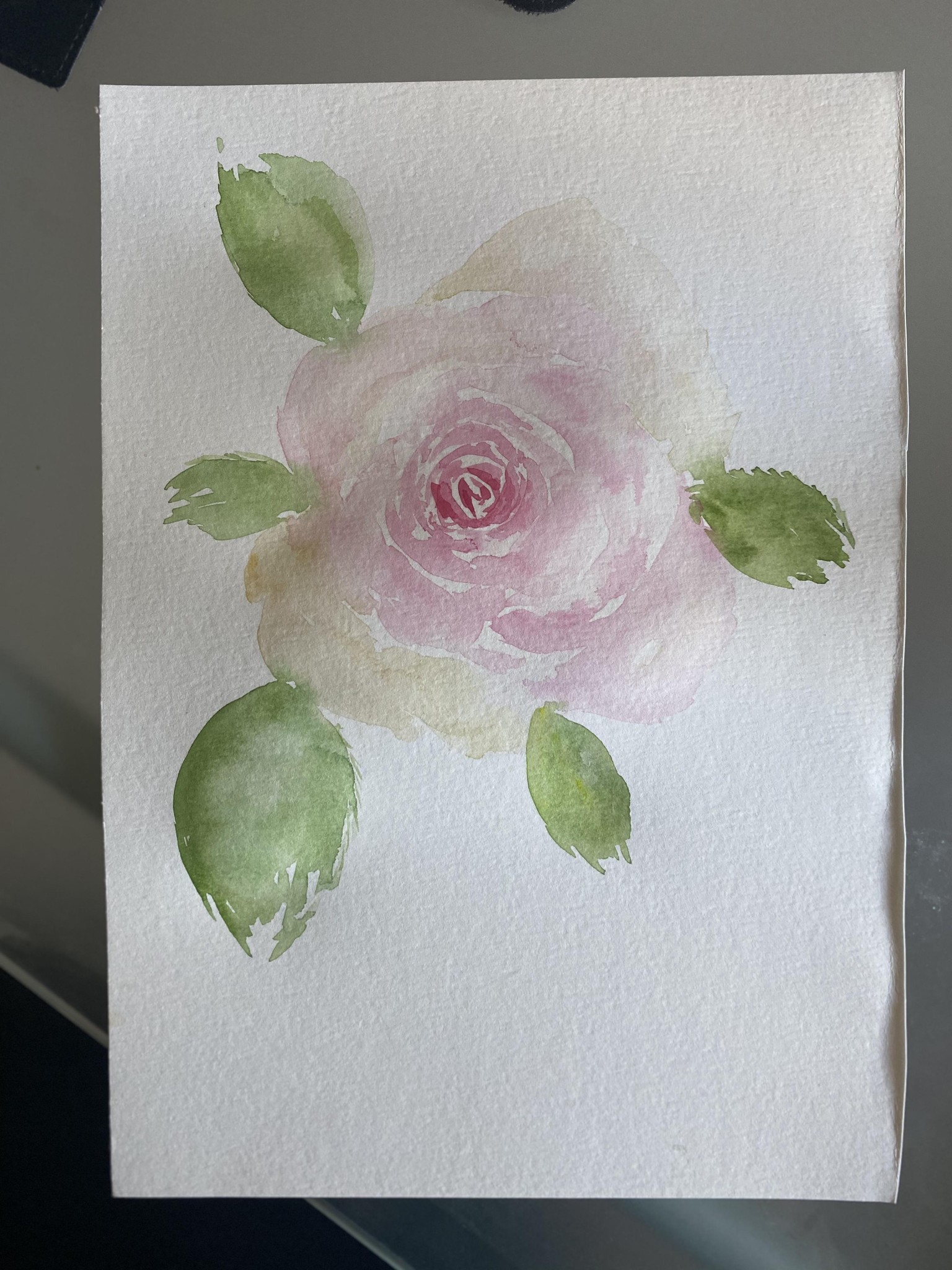 Rose Shape Study Progression - Nina Watercolour Lover - image 1 - student project