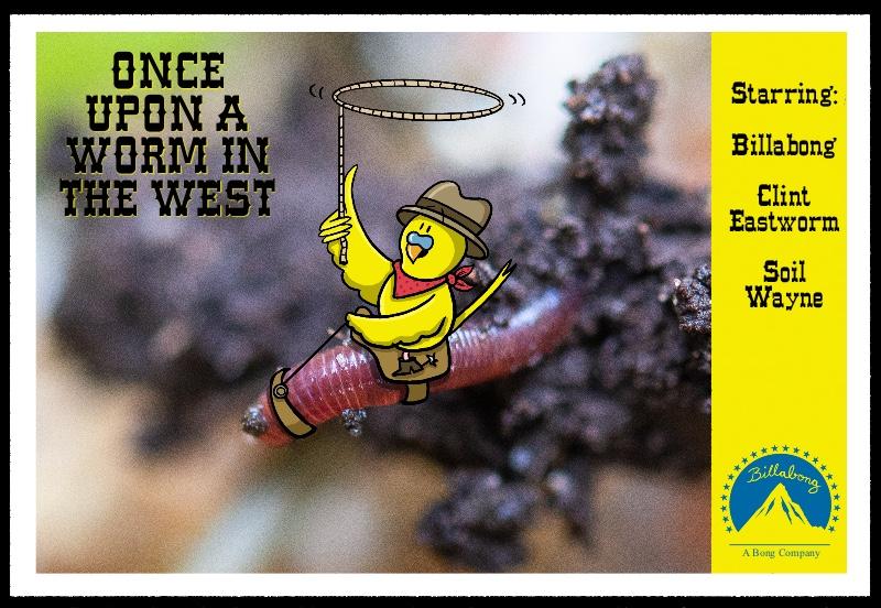 Once upon a Worm in the West - image 1 - student project