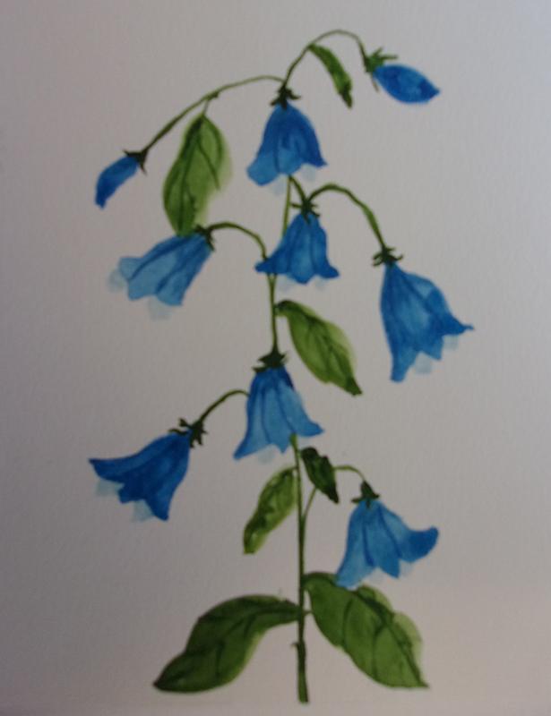 Various flowers - image 2 - student project