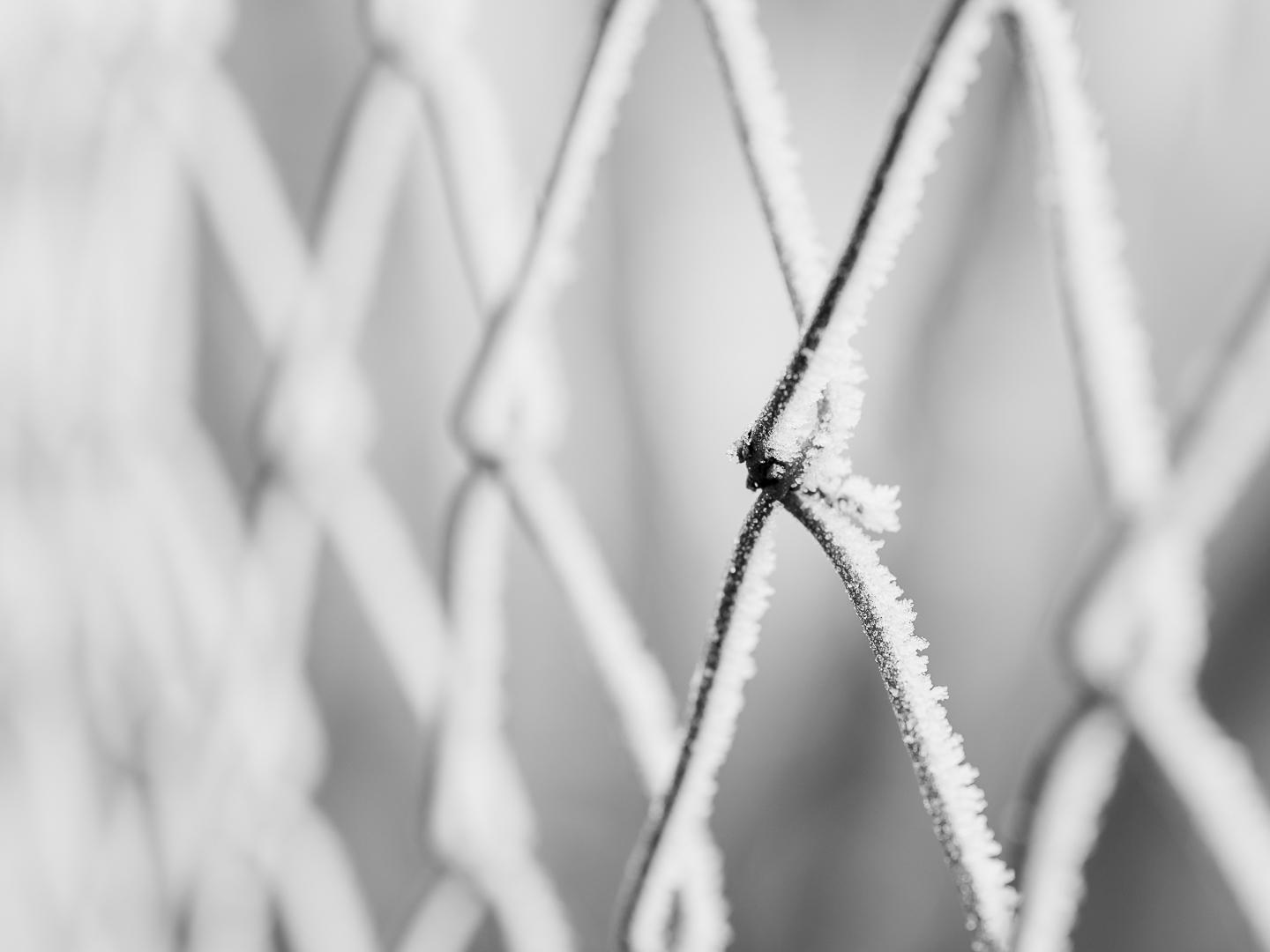 a few photos that are typical for me - image 4 - student project