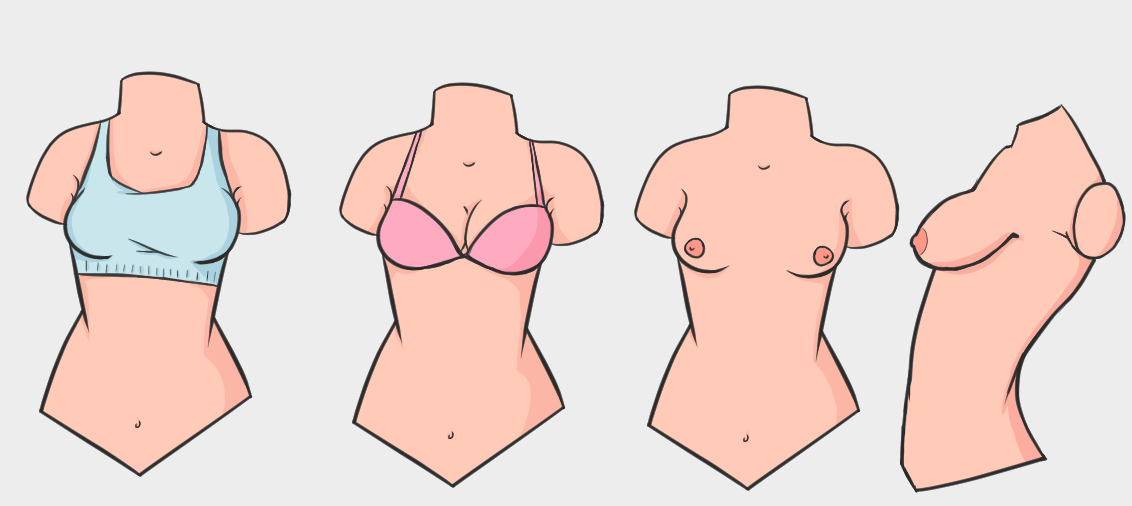 breasts - image 1 - student project