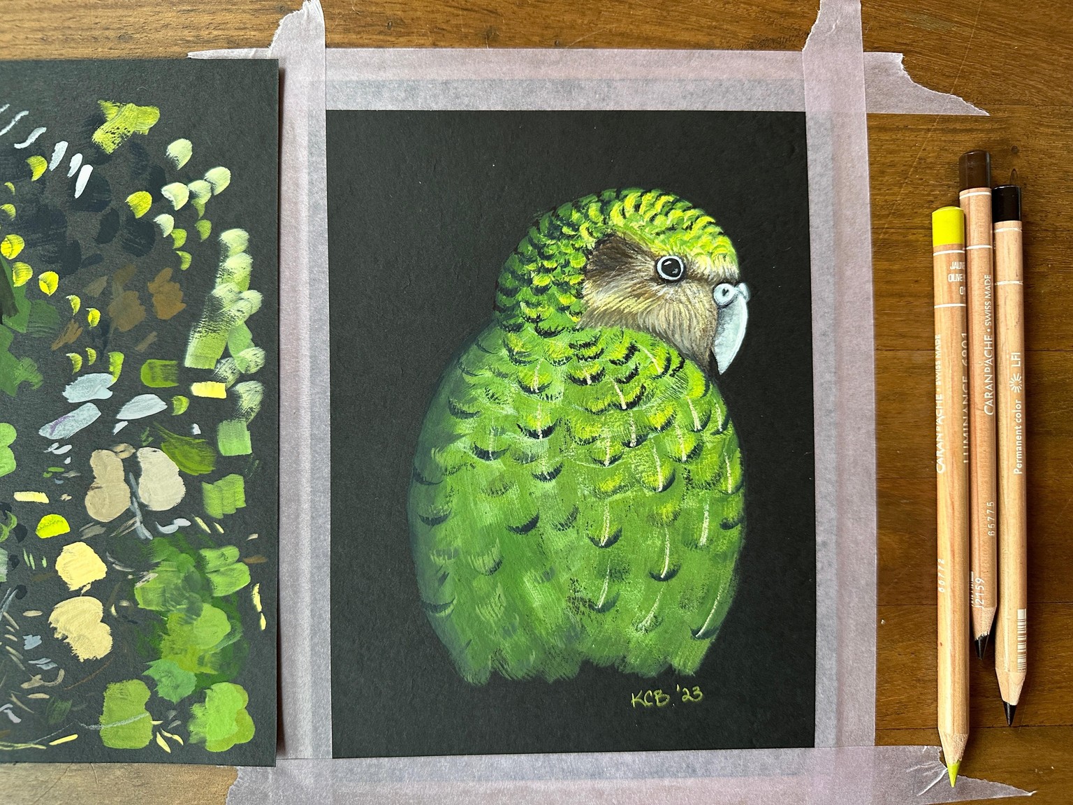 Mixed media Kākāpo - image 1 - student project
