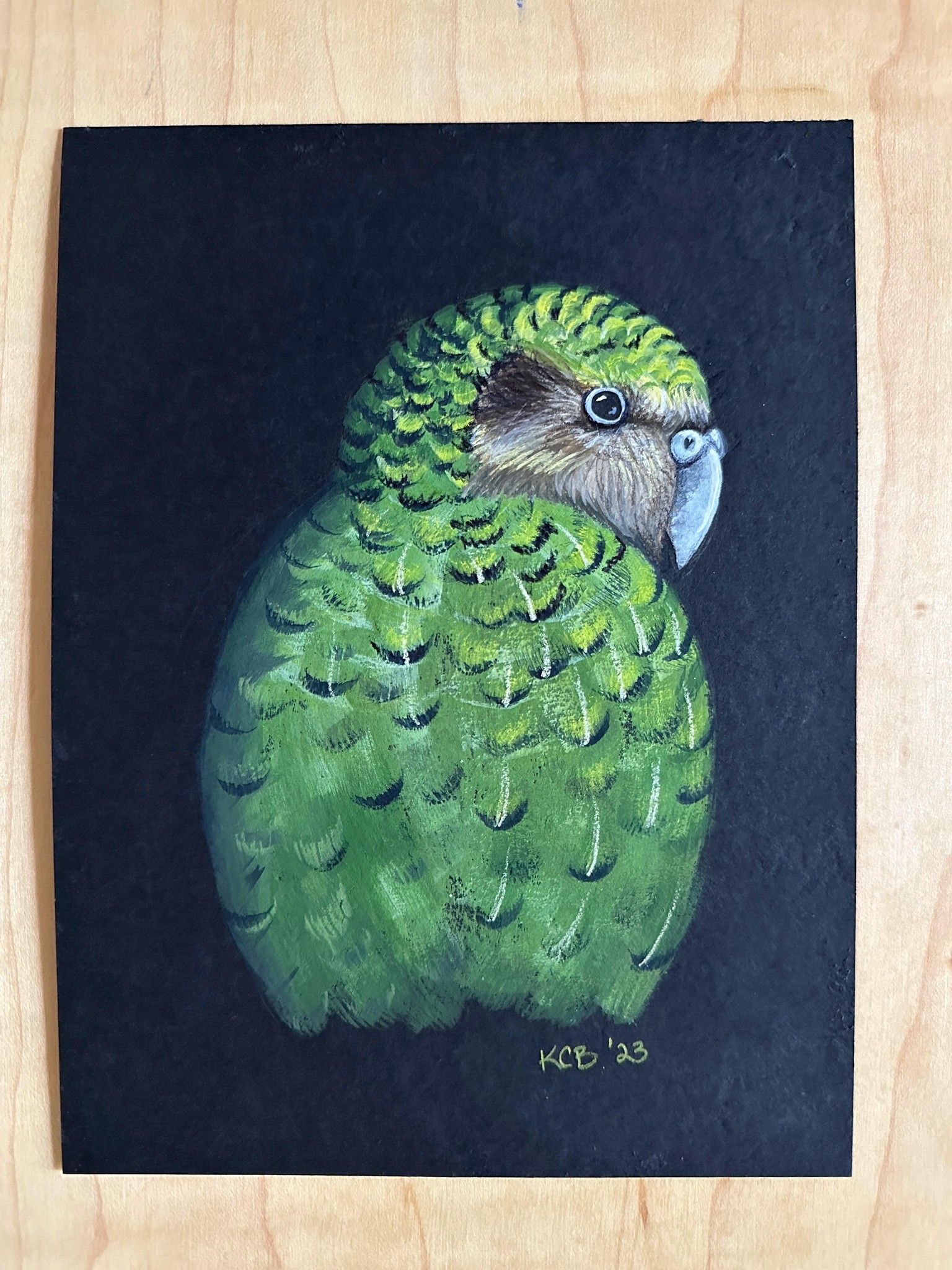 Mixed media Kākāpo - image 2 - student project
