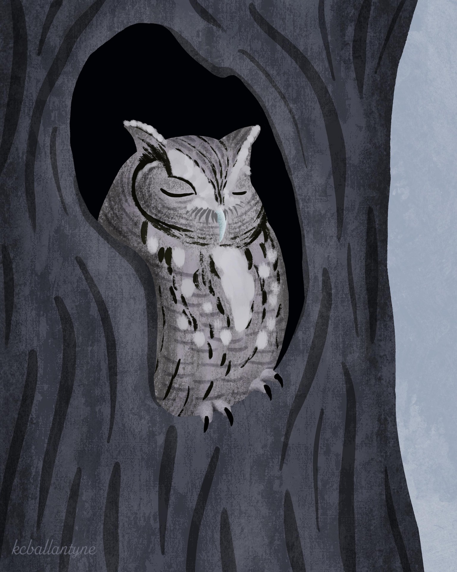 Sleepy Eastern Screech Owl - image 1 - student project