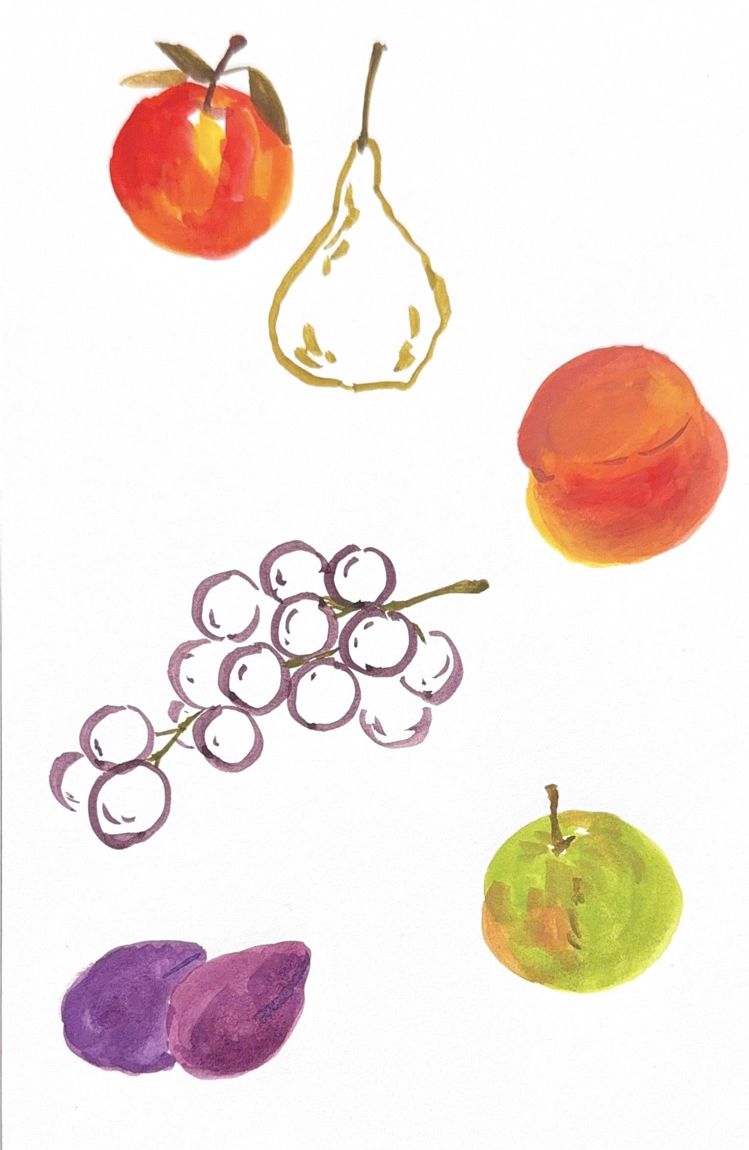 Fruit - image 1 - student project
