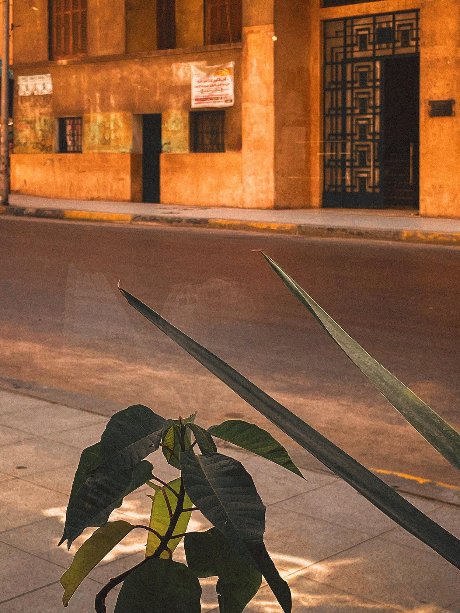 Fouad Street - By The Window - image 3 - student project
