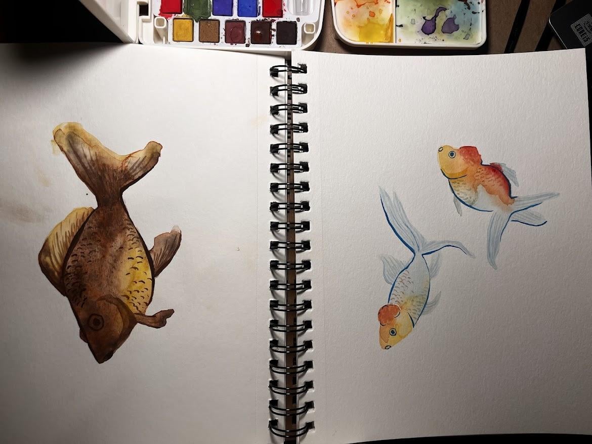 Fish Watercolor - image 2 - student project