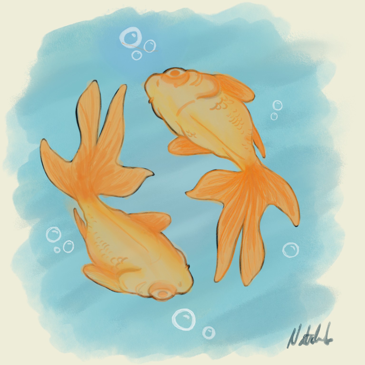 Goldfish in Procreate - image 1 - student project