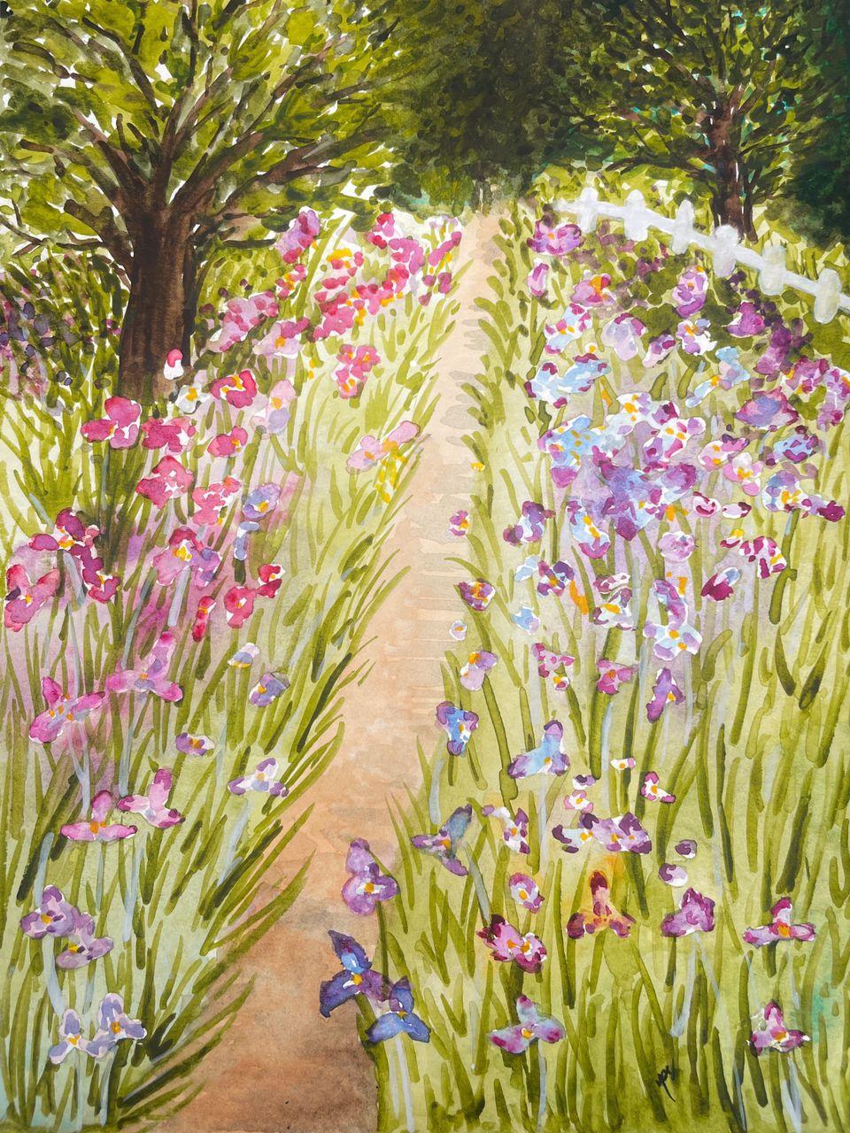 Garden Landscape - Iris Pathway - image 1 - student project